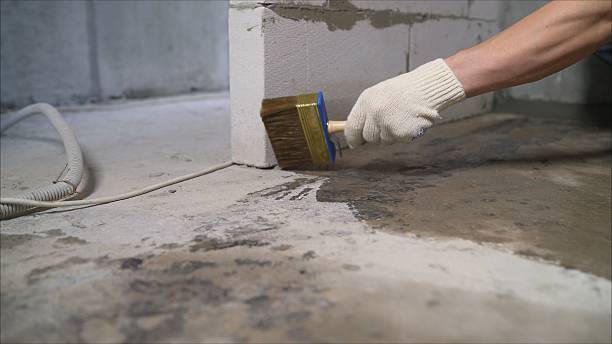 24/7 Emergency Crawl Space Encapsulation experts in Middleburg, VA